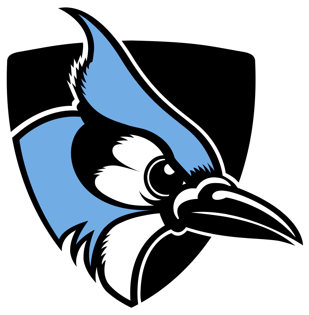 Johns Hopkins University